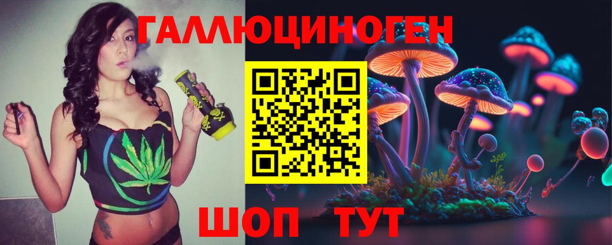 Галлюциногенные грибы Psilocybe  Вход с VPN  Сланцы 